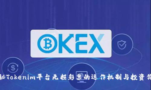 揭秘Tokenim平台无损彩票的运作机制与投资价值