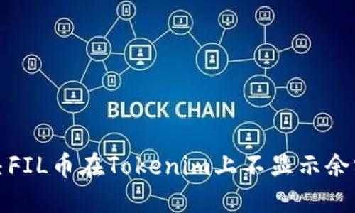 如何解决FIL币在Tokenim上不显示余额的问题