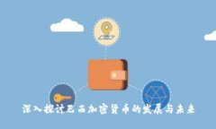 深入探讨巴西加密货币的