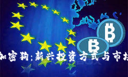 数字货币加密狗：新兴投资方式与市场前景分析