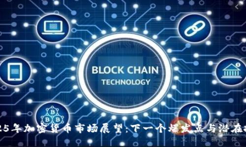 2025年加密货币市场展望：下一个爆发点与潜在挑战
