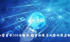  加密货币ICO全解析：投资