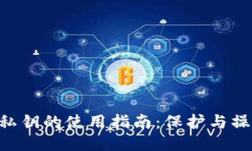 Tokenim私钥的使用指南：保护与操作安全性