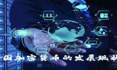 深入理解：中国加密货币的发展现状与未来趋势
