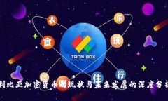 利比亚加密货币的现状与