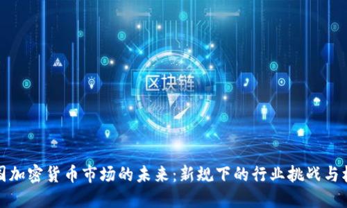 美国加密货币市场的未来：新规下的行业挑战与机遇
