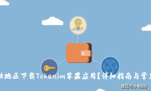 如何在大陆地区下载Tokenim苹果应用？详细指南与常见问题解答