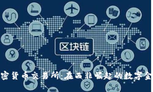 加纳加密货币交易所：在西非崛起的数字金融革命
