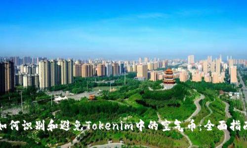如何识别和避免Tokenim中的空气币：全面指南