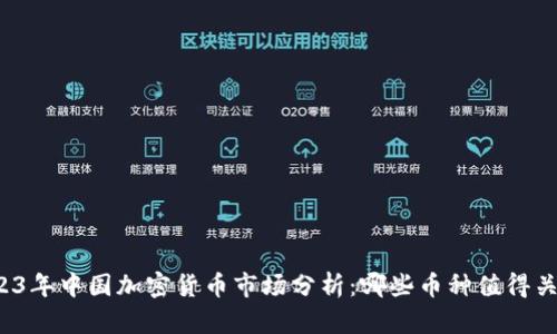 2023年中国加密货币市场分析：哪些币种值得关注？