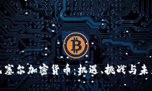 深入探讨巴塞尔加密货币：机遇、挑战与未来发展趋势