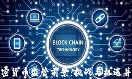 
加密货币监管前景：挑战与机遇并存