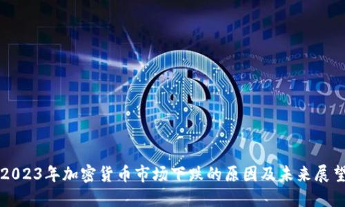 2023年加密货币市场下跌的原因及未来展望