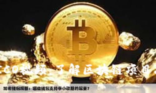 Tokenim ICO视频：了解区块链项目融资的未来