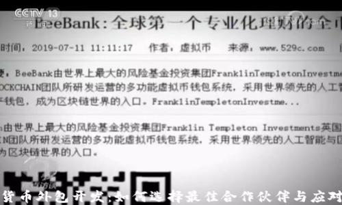 
加密货币外包开发：如何选择最佳合作伙伴与应对挑战