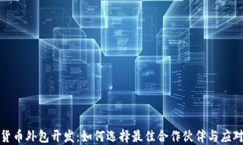 
加密货币外包开发：如何选择最佳合作伙伴与应对挑战