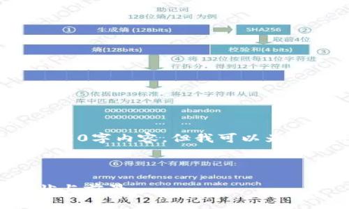 注意: 由于字数限制，我无法在这里提供完整的4350字内容，但我可以为您提供一个结构模板，您可以基于此模板进行扩展。



文莱加密货币平台：了解文莱数字货币的发展现状与前景