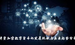 中资加密数字货币的发展