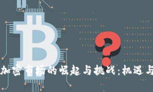 印度货币加密市场的崛起与挑战：机遇与风险并存