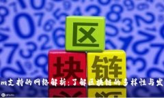 Tokenim支持的网络解析：了