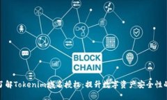 深入了解Tokenim域名授权：