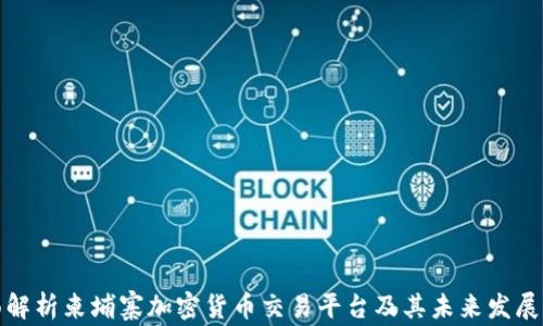 
全面解析柬埔寨加密货币交易平台及其未来发展前景