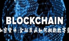 JP摩根与加密货币：金融巨