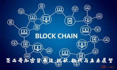 墨西哥加密货币法：现状、挑战与未来展望