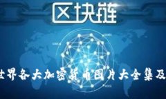 全面解析：世界各大加密