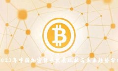 2023年中国加密货币发展现