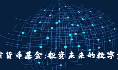 新宠加密货币基金：投资未来的数字资产之路