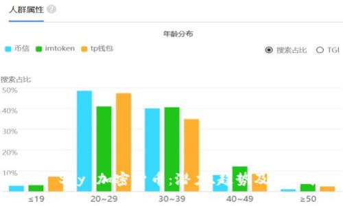 2018 Sky 加密货币：潜力、趋势及投资指南