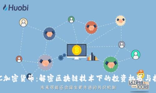 OBC加密货币：解密区块链技术下的投资机遇与挑战