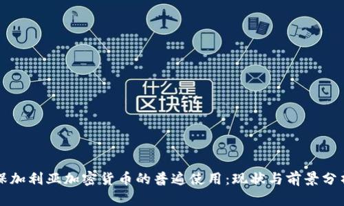 保加利亚加密货币的普遍使用：现状与前景分析