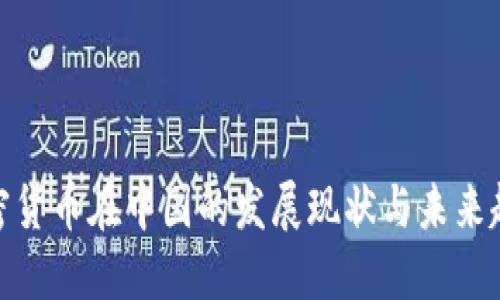 加密货币在中国的发展现状与未来趋势