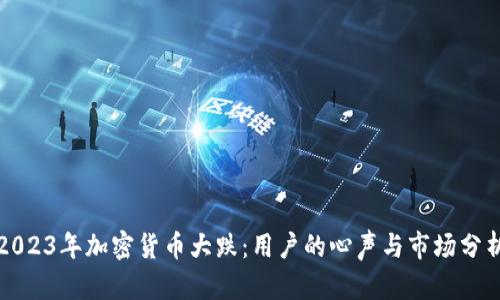 2023年加密货币大跌：用户的心声与市场分析