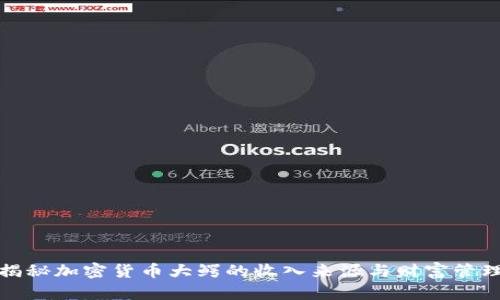 揭秘加密货币大鳄的收入来源与财富管理
