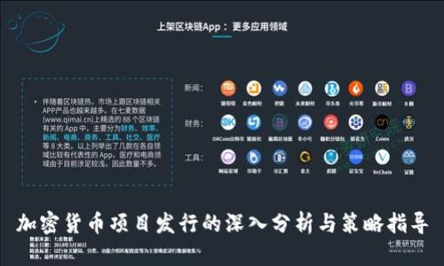 加密货币项目发行的深入分析与策略指导