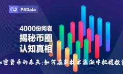 数字加密货币的春天：如