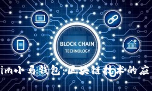 全面解析fir.im小马钱包：区块链技术的应用与未来展望