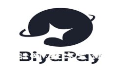 贝宝加密货币计划：数字