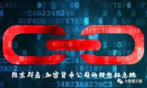 维京群岛：加密货币公司的理想栖息地