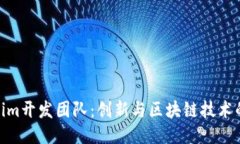 Tokenim开发团队：创新与区