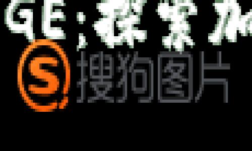 为何Tokenim支持DOGE：探索加密货币的崛起与未来