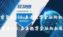 : 探索加密货币SSS：未来数