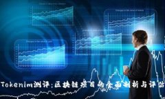 Tokenim测评：区块链项目的