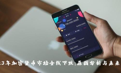 2023年加密货币市场全线下跌：原因分析与未来展望