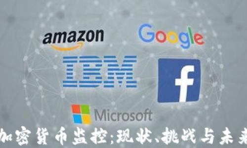 
美国加密货币监控：现状、挑战与未来趋势