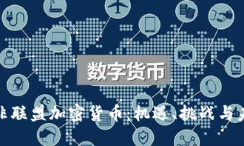 探索泛非联盟加密货币：机遇、挑战与未来发展