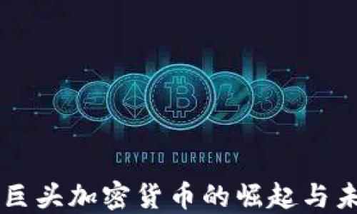 
互联网巨头加密货币的崛起与未来展望